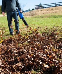 Kobalt Cordless Electric Leaf Blowers 80-volt Max 630-CFM Brushless Handheld Cordless Electric Leaf Blower 2.5 Ah (Battery & Charger Included) 17 Kobalt Cordless Electric Leaf Blowers 80-volt Max 630-CFM Brushless Handheld Cordless Electric Leaf Blower 2.5 Ah (Battery & Charger Included) -Kobalt Outlet Store 41718125